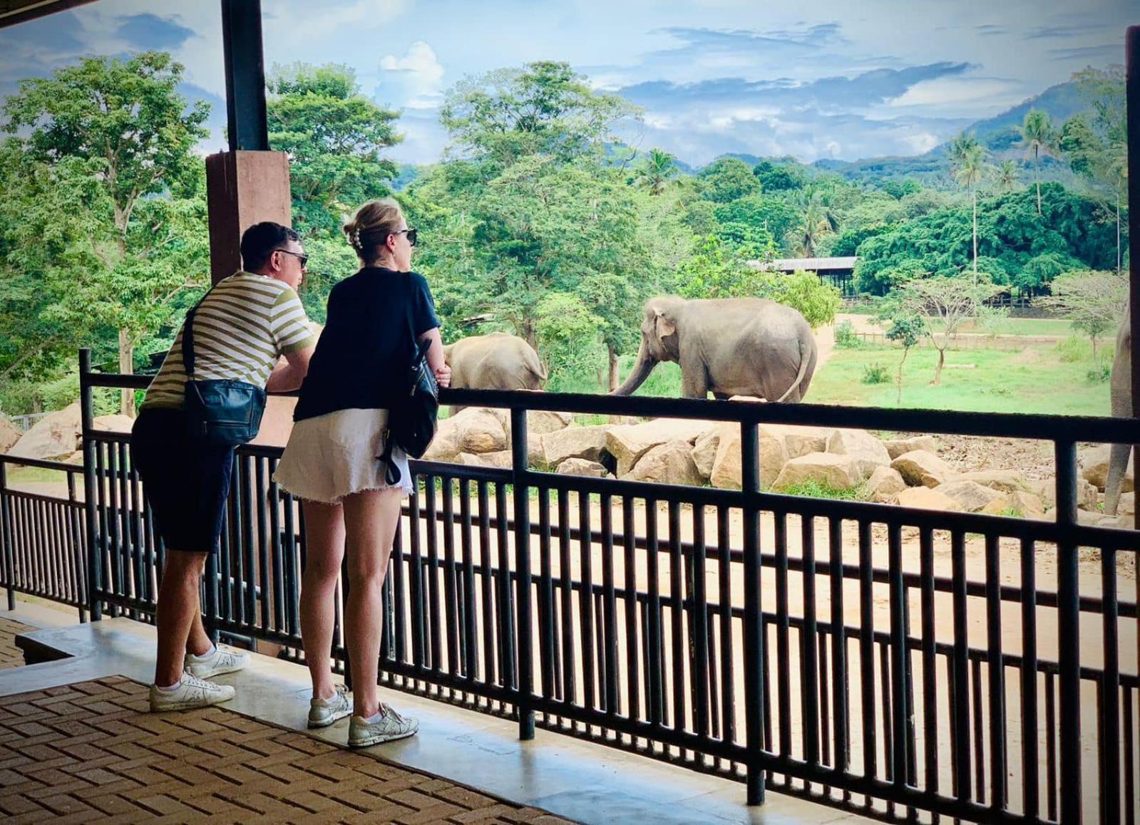 Elepath Lodge- Pinnawala Pinnawala  Bagian luar foto