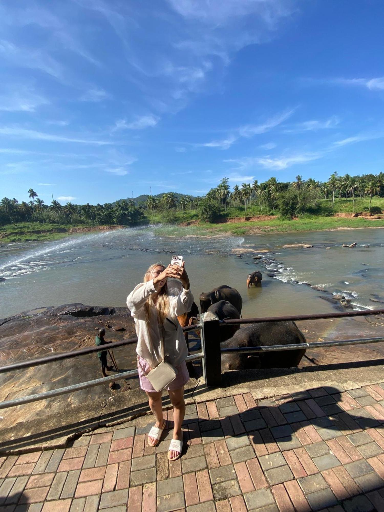 Elepath Lodge- Pinnawala Pinnawala  Bagian luar foto