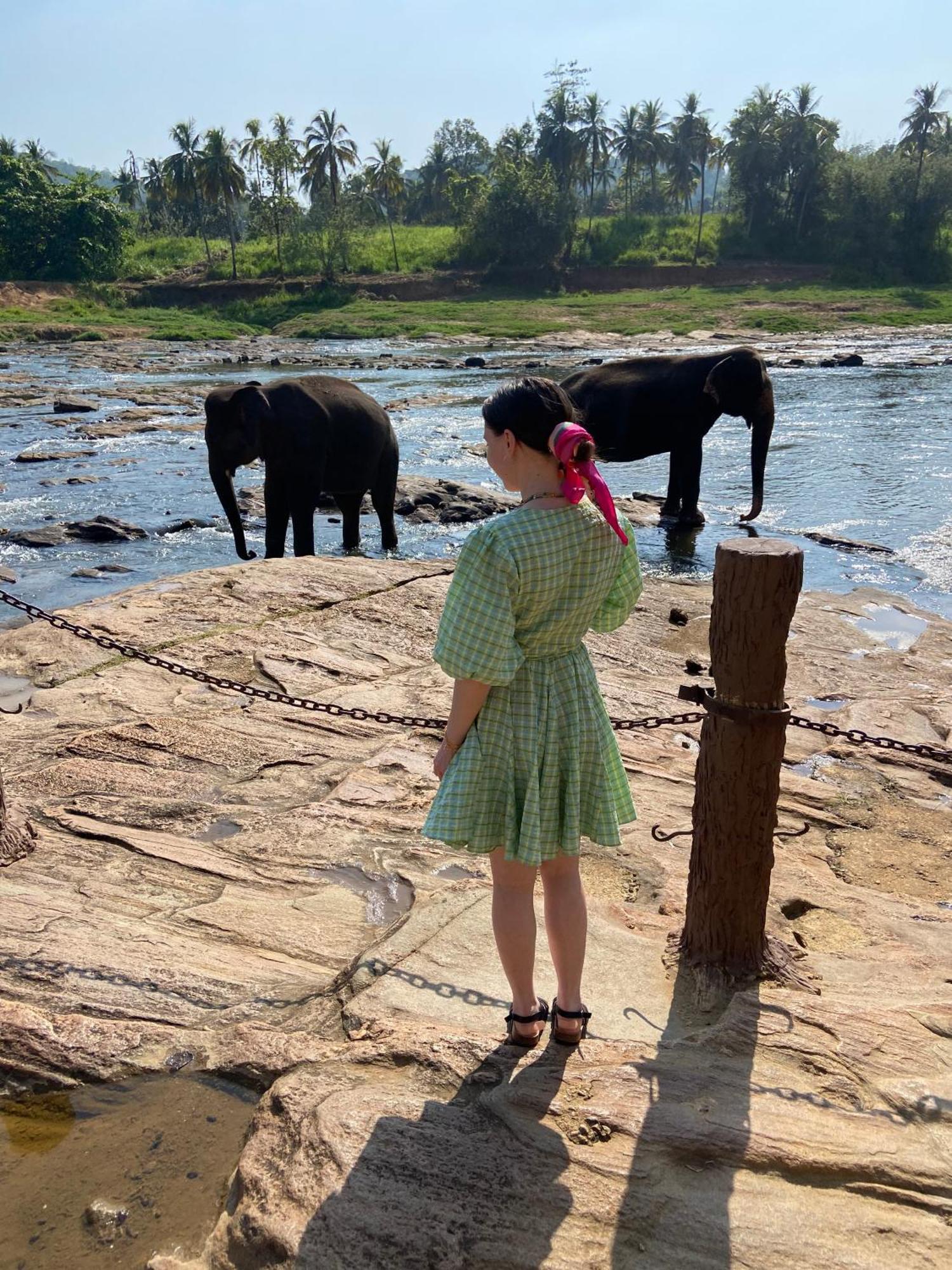 Elepath Lodge- Pinnawala Pinnawala  Bagian luar foto
